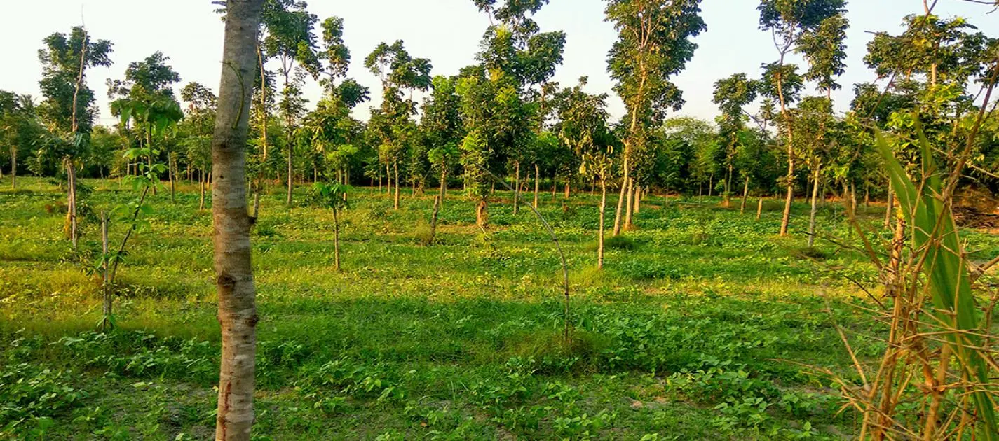 Reduce the plastic usage