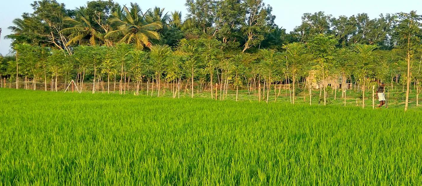 Ensure the children's education, health and traditional games